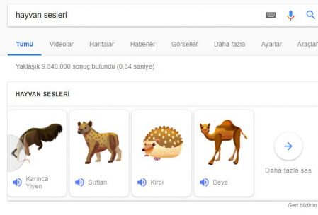 Bilgisayarına mp3 formatında hayvan sesleri indir